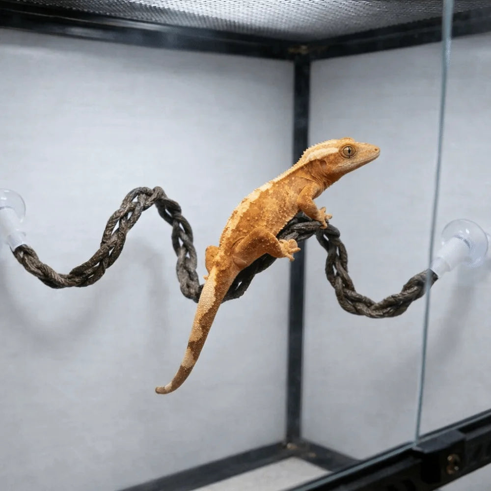 Reptile Climbing Rope Vine