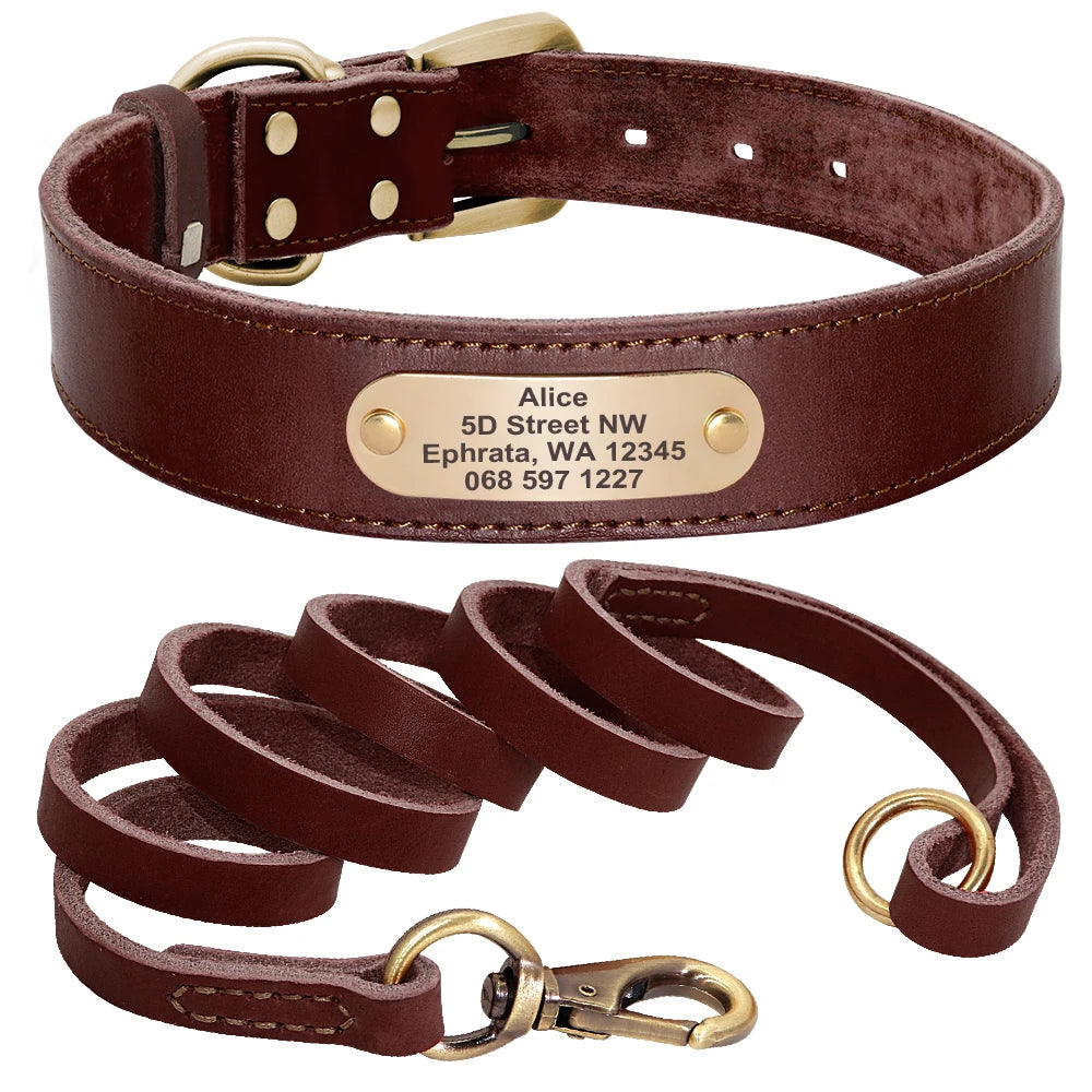 Personalized Leather Dog Collar/Leash Set