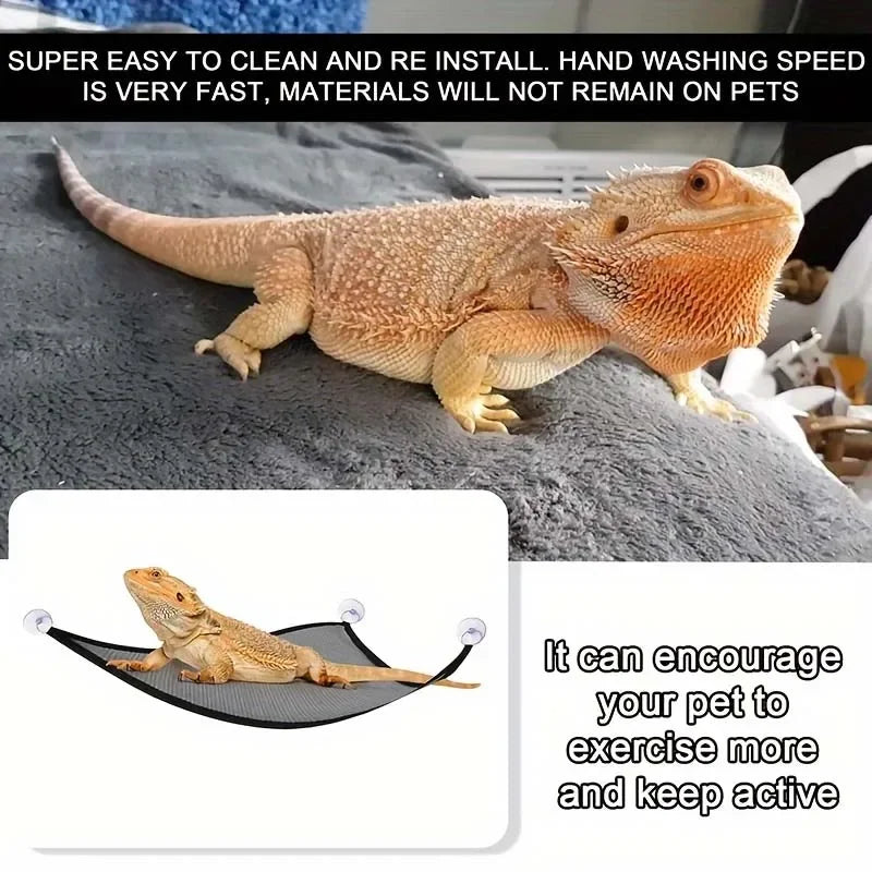 Reptile Hammock