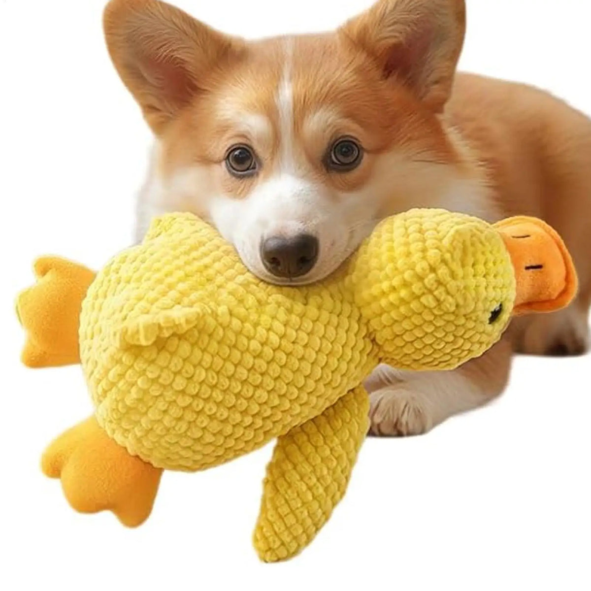 Plush Duck Dog Toy