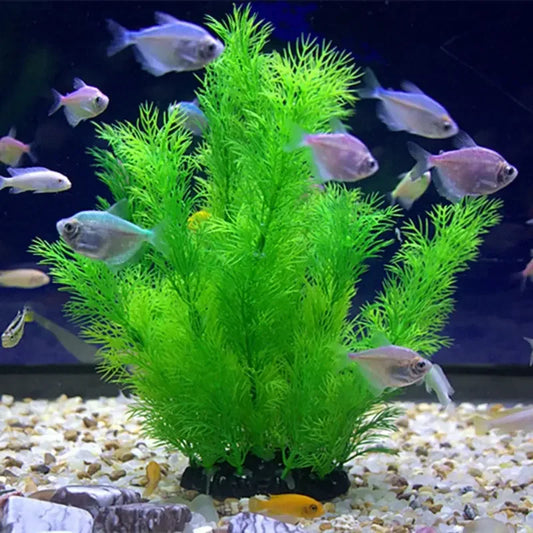 Aquarium Decor