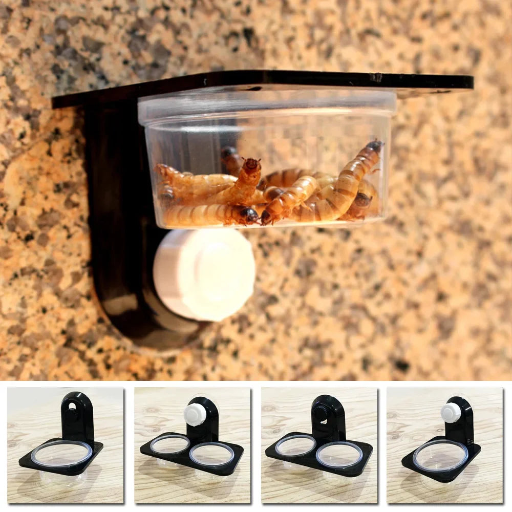 Suction Cup/Screw Reptile Bowls