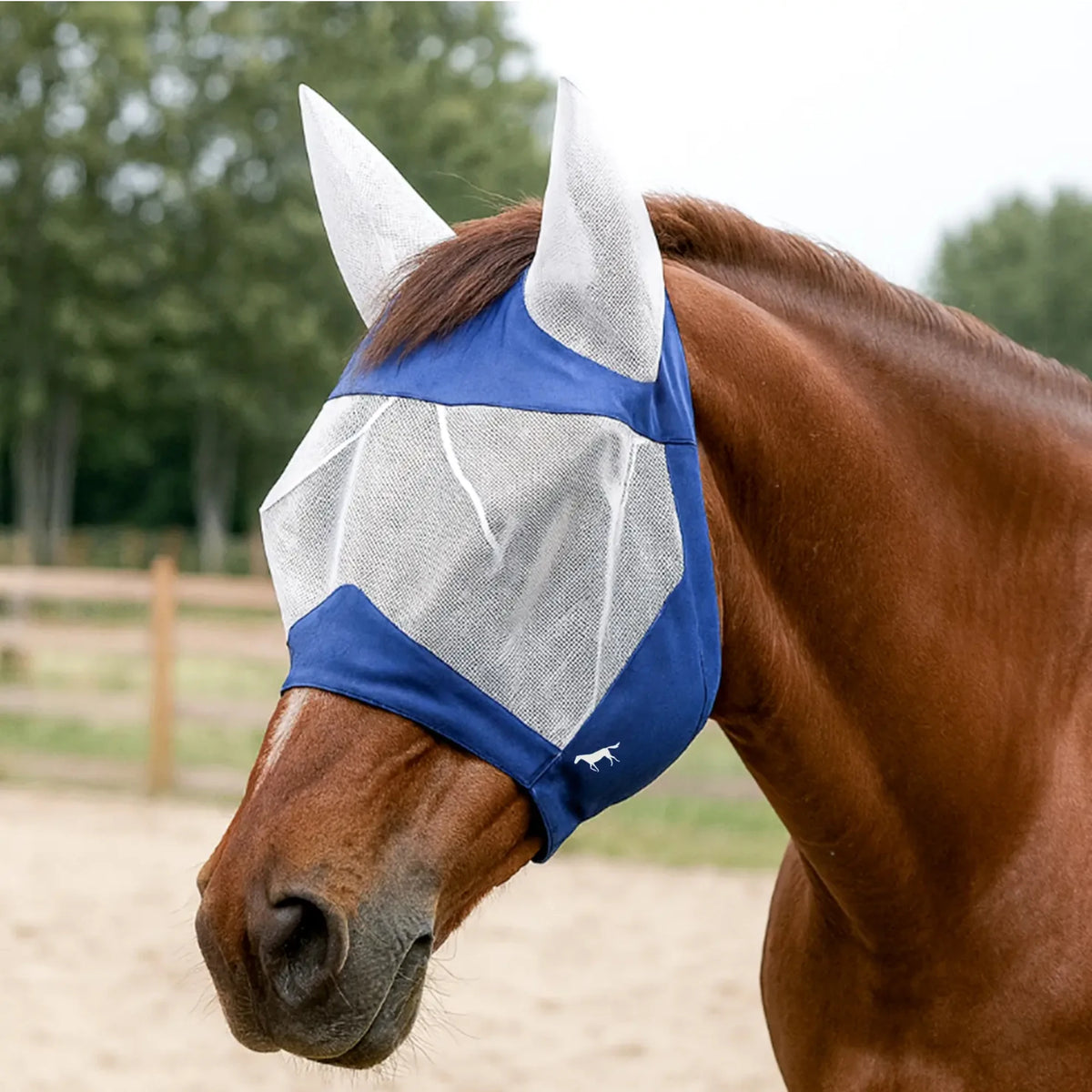 Mesh Horse Fly Mask