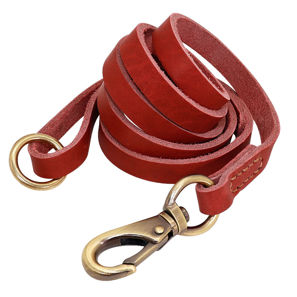 Personalized Leather Dog Collar/Leash Set