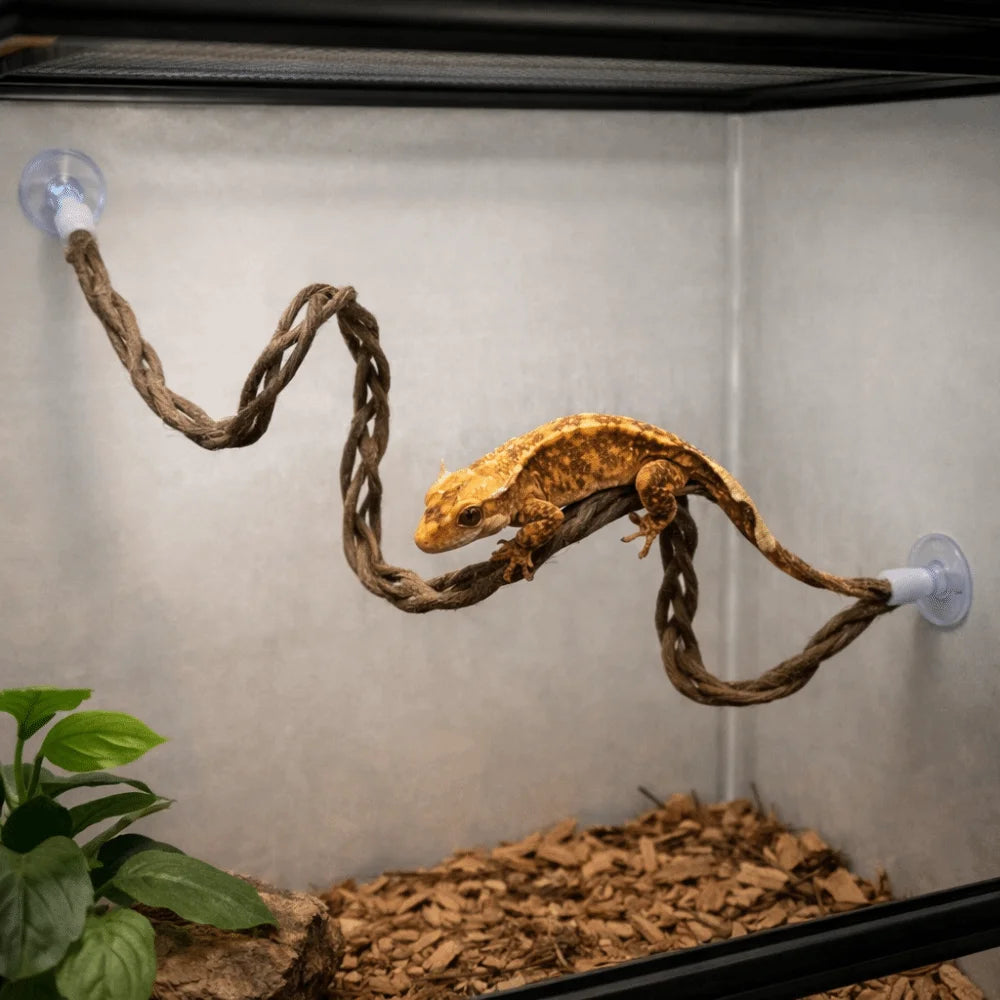 Reptile Climbing Rope Vine