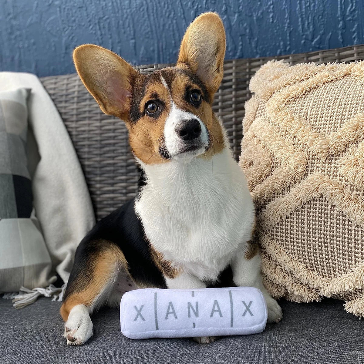 Chill Pill Squeaky Dog Toy