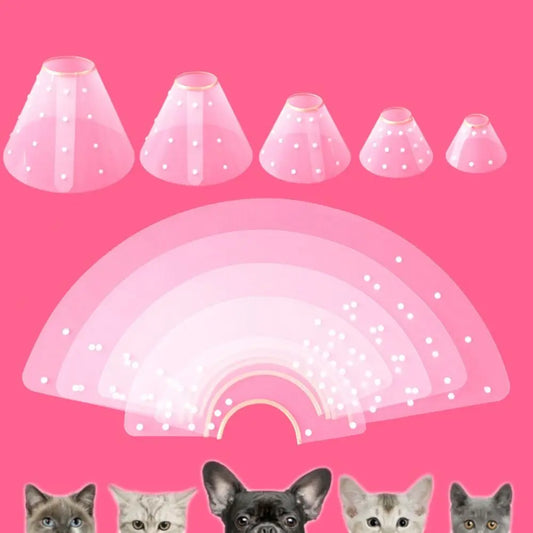 E-Collar/ Recovery Cone