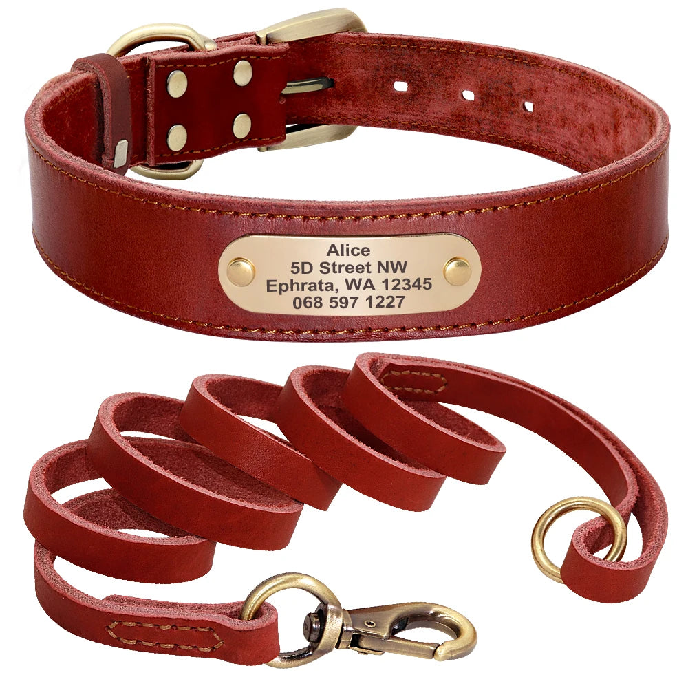 Personalized Leather Dog Collar/Leash Set