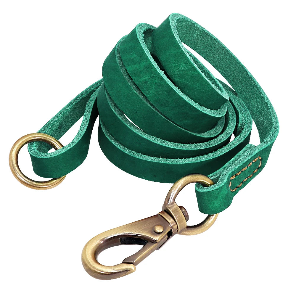 Personalized Leather Dog Collar/Leash Set