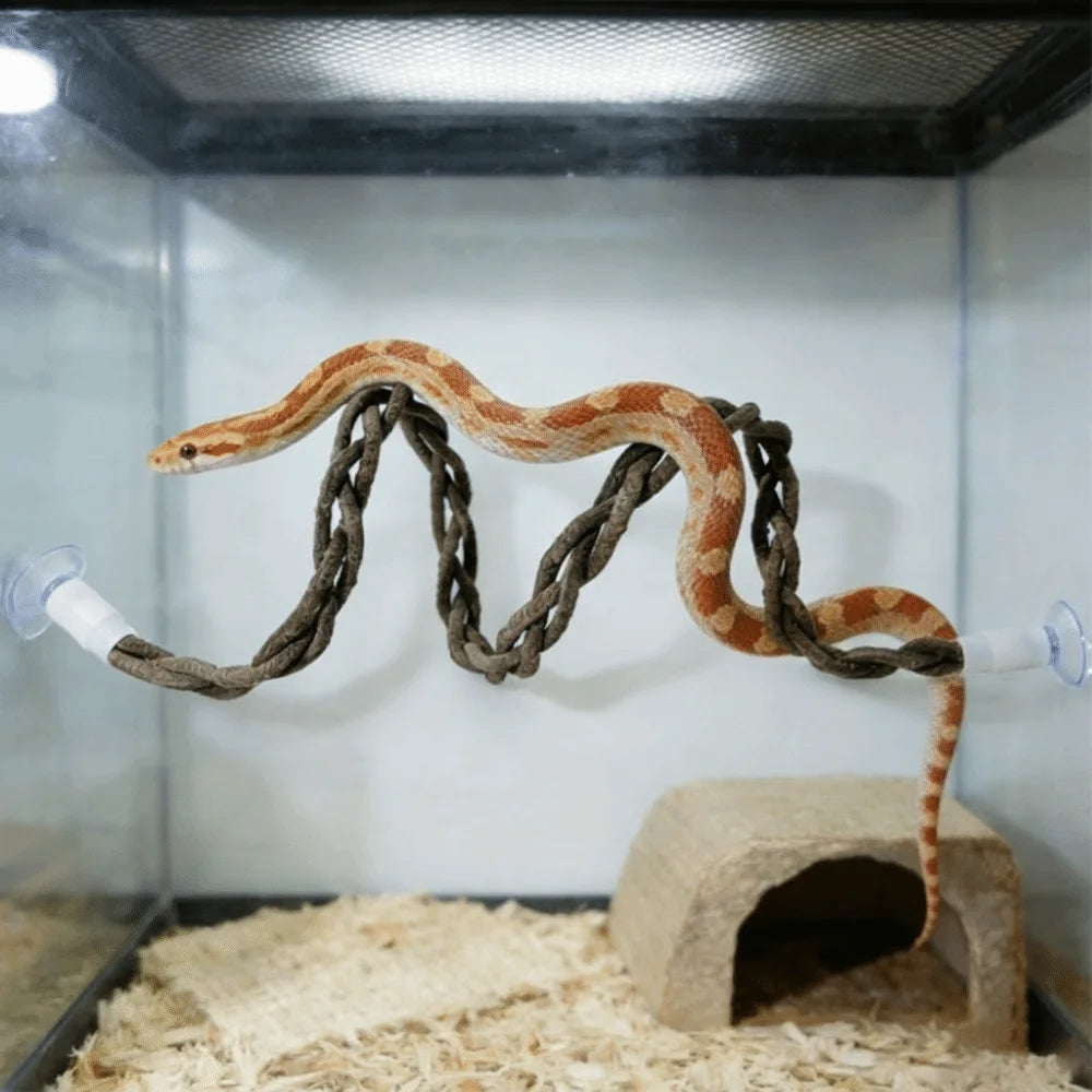 Reptile Climbing Rope Vine