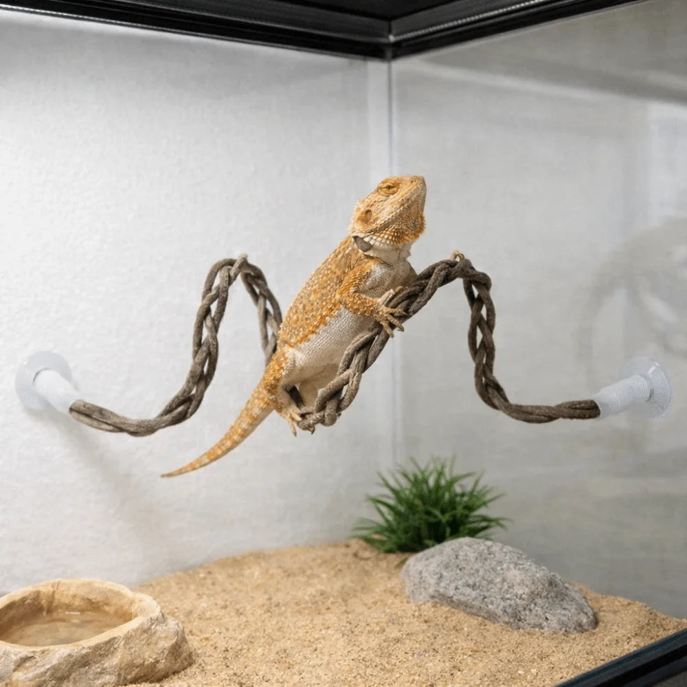 Reptile Climbing Rope Vine