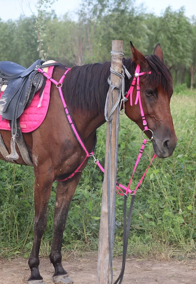 Saddle Pad with Side Pocket