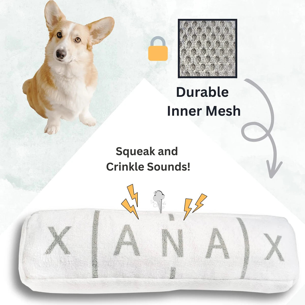 Chill Pill Squeaky Dog Toy