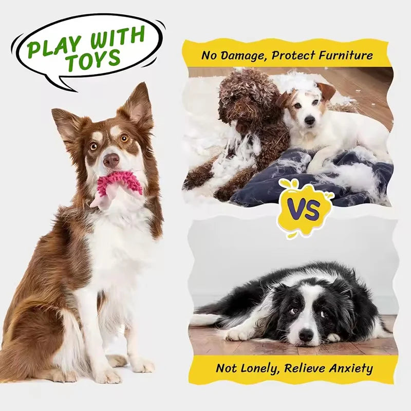 Plush Dog Toys