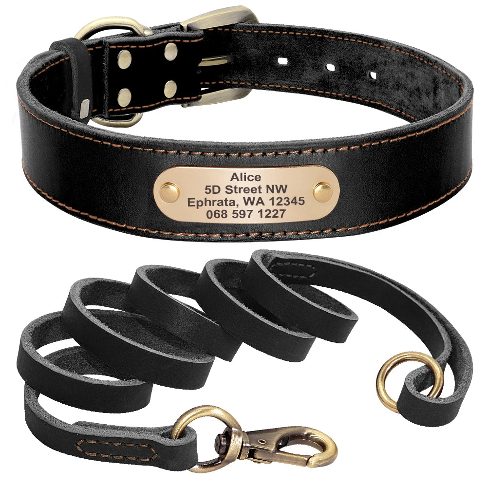 Personalized Leather Dog Collar/Leash Set
