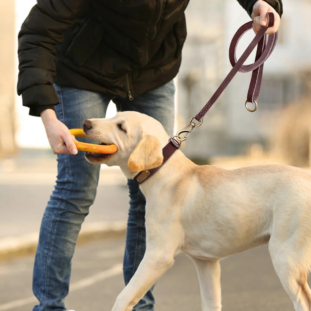 Personalized Leather Dog Collar/Leash Set