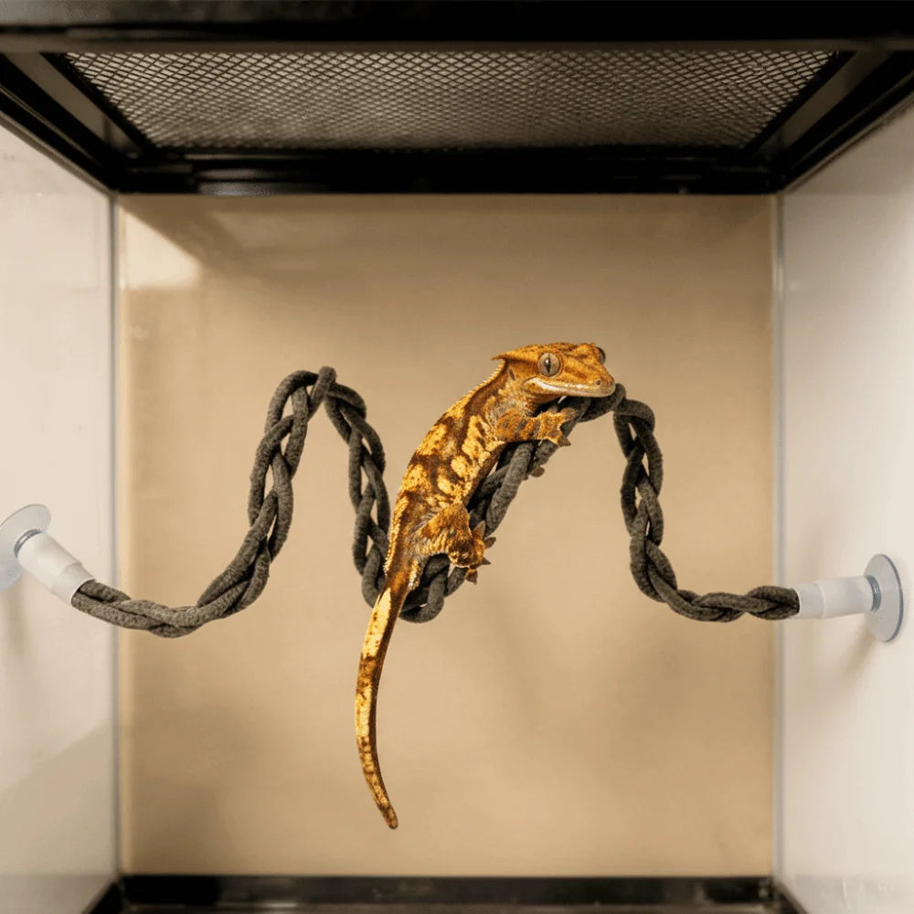 Reptile Climbing Rope Vine