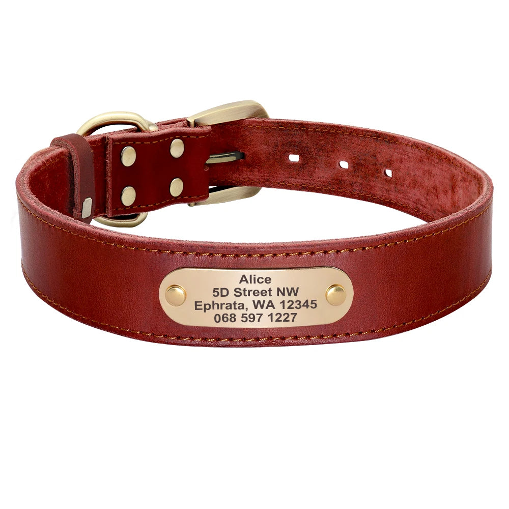 Personalized Leather Dog Collar/Leash Set