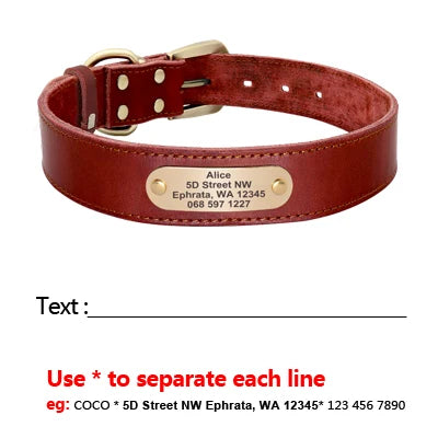 Personalized Leather Dog Collar/Leash Set