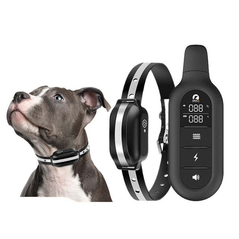 Dog Training Collar