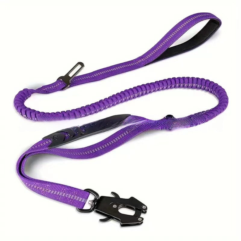 Dog Leash with Seat Belt Clip