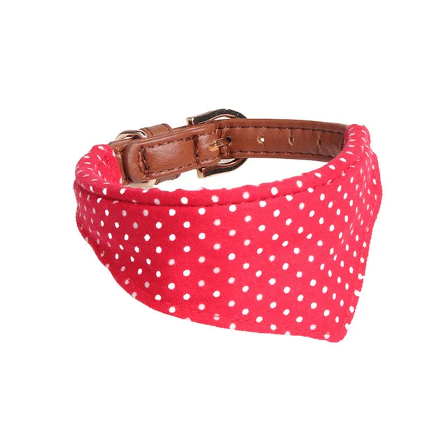 Bandana/Bow Collar/Leash