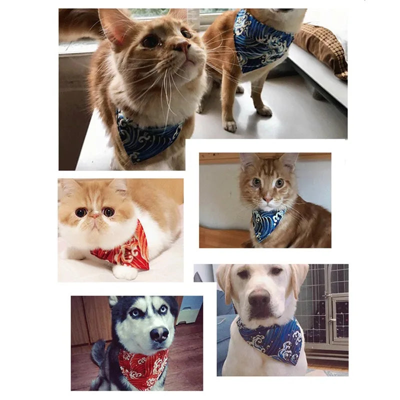 Bandana Collar
